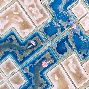 Meet your Posher, Colin